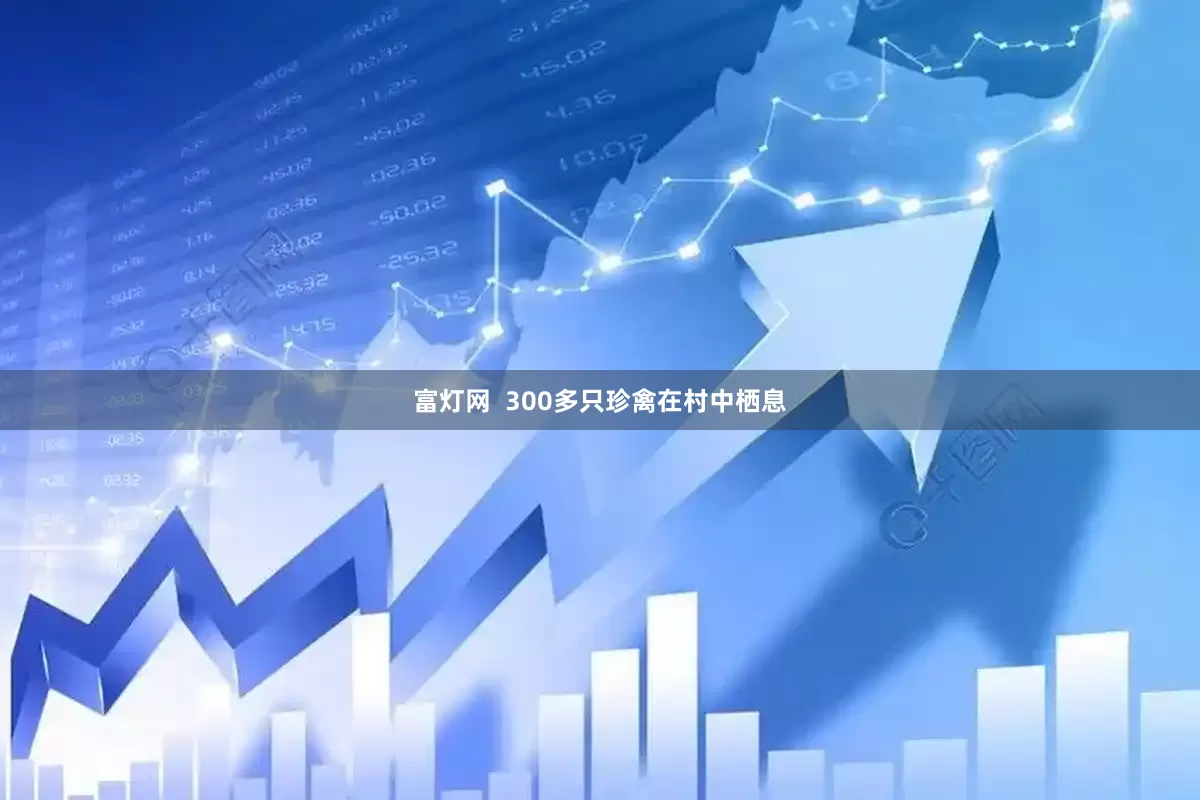 富灯网  300多只珍禽在村中栖息