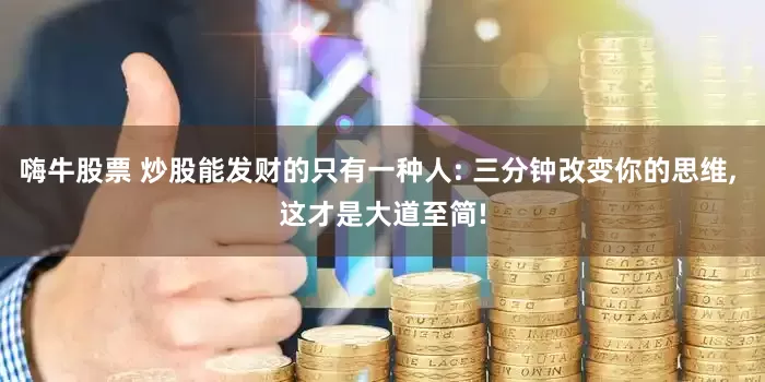 嗨牛股票 炒股能发财的只有一种人: 三分钟改变你的思维, 这才是大道至简!