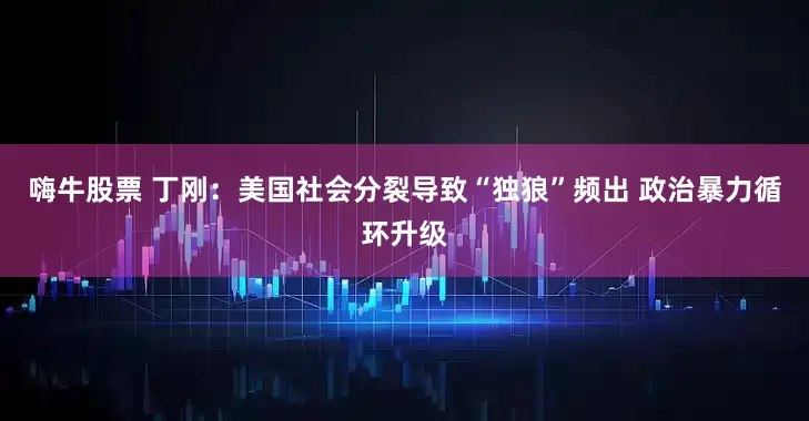 嗨牛股票 丁刚：美国社会分裂导致“独狼”频出 政治暴力循环升级