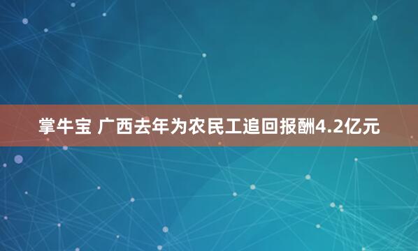 掌牛宝 广西去年为农民工追回报酬4.2亿元